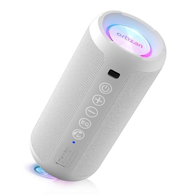 Portable Bluetooth speaker